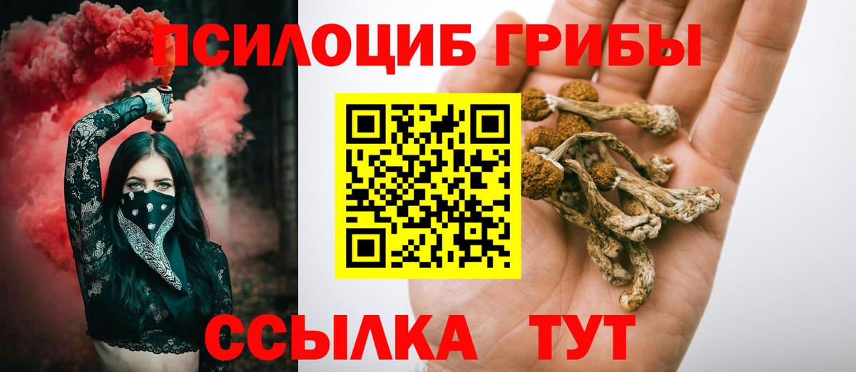 Галлюциногенные грибы GOLDEN TEACHER Отрадный