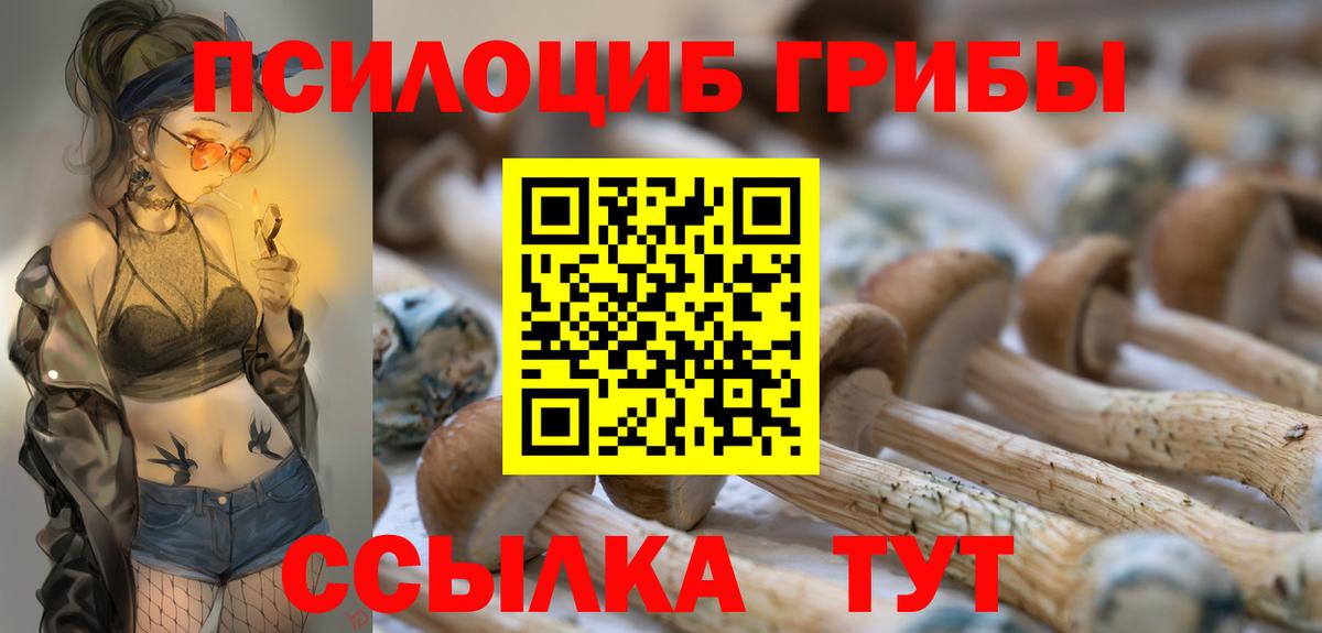 Псилоцибиновые грибы Psilocybine cubensis  Вход с VPN  Отрадный 